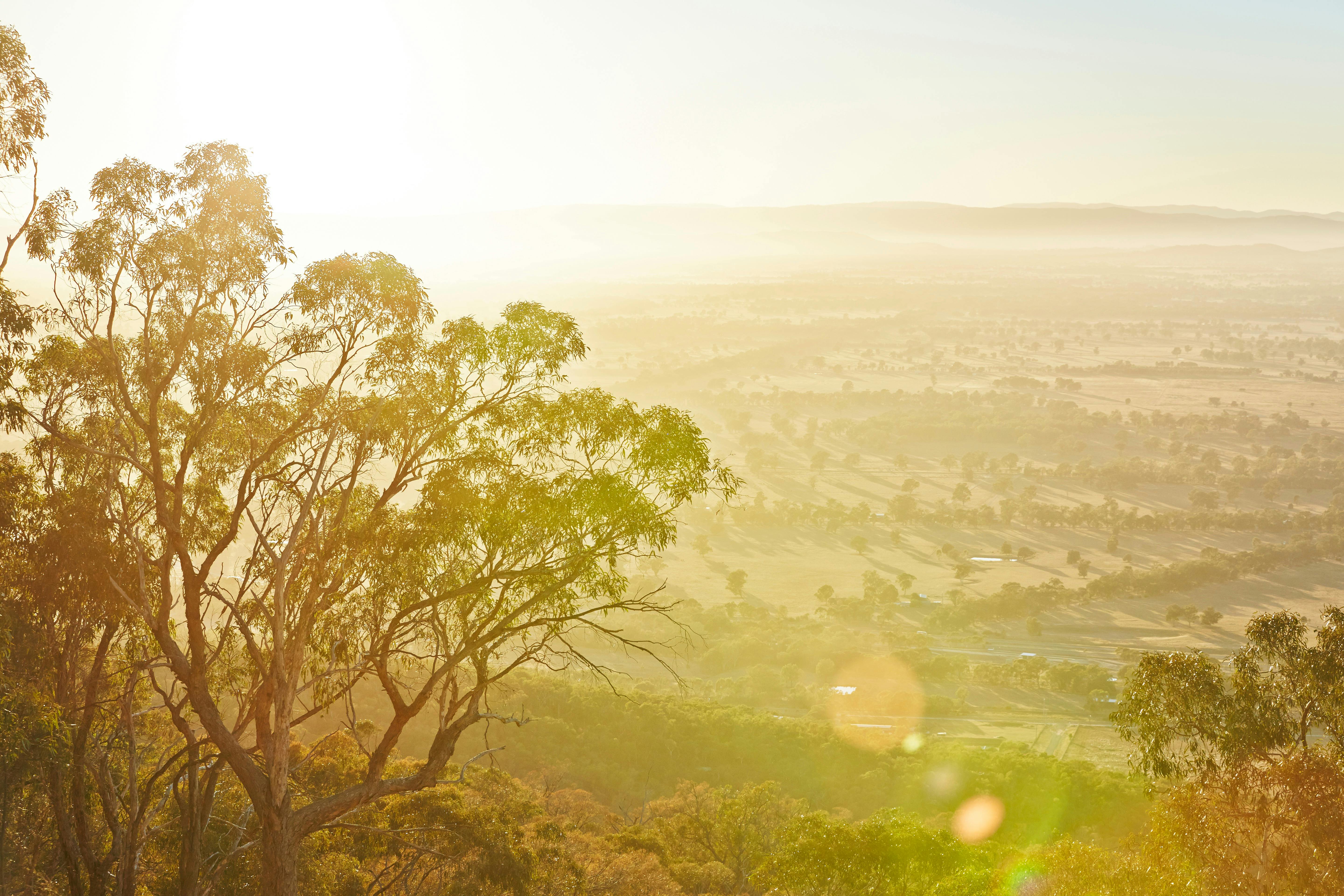 View from Mt Glenrowan