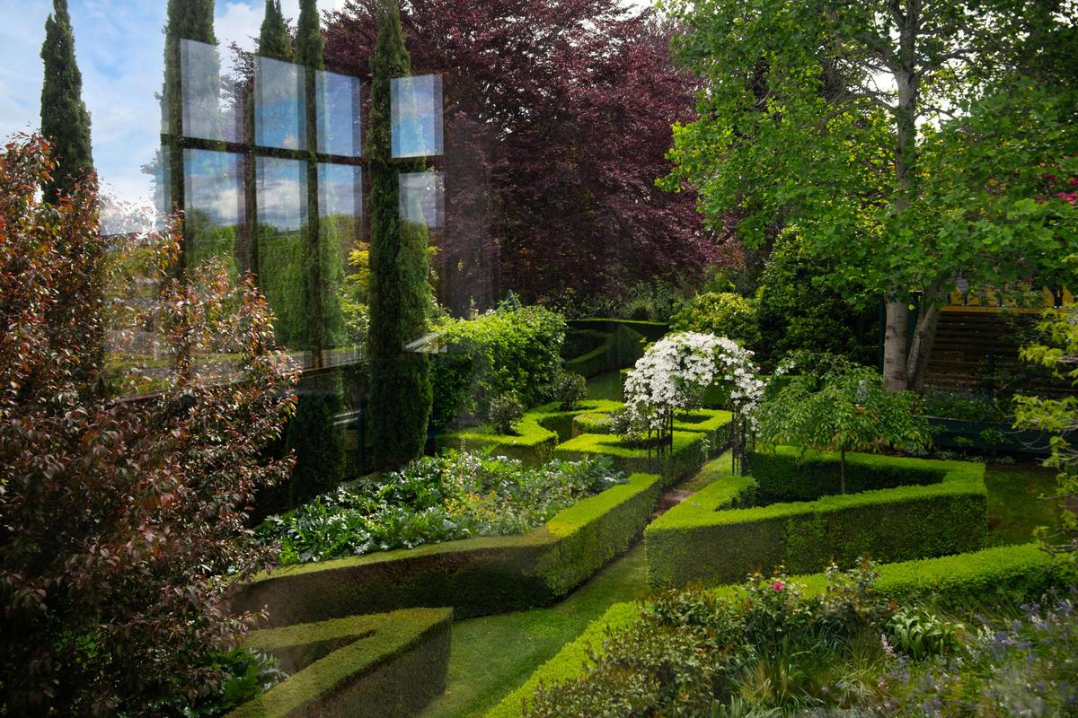 The garden