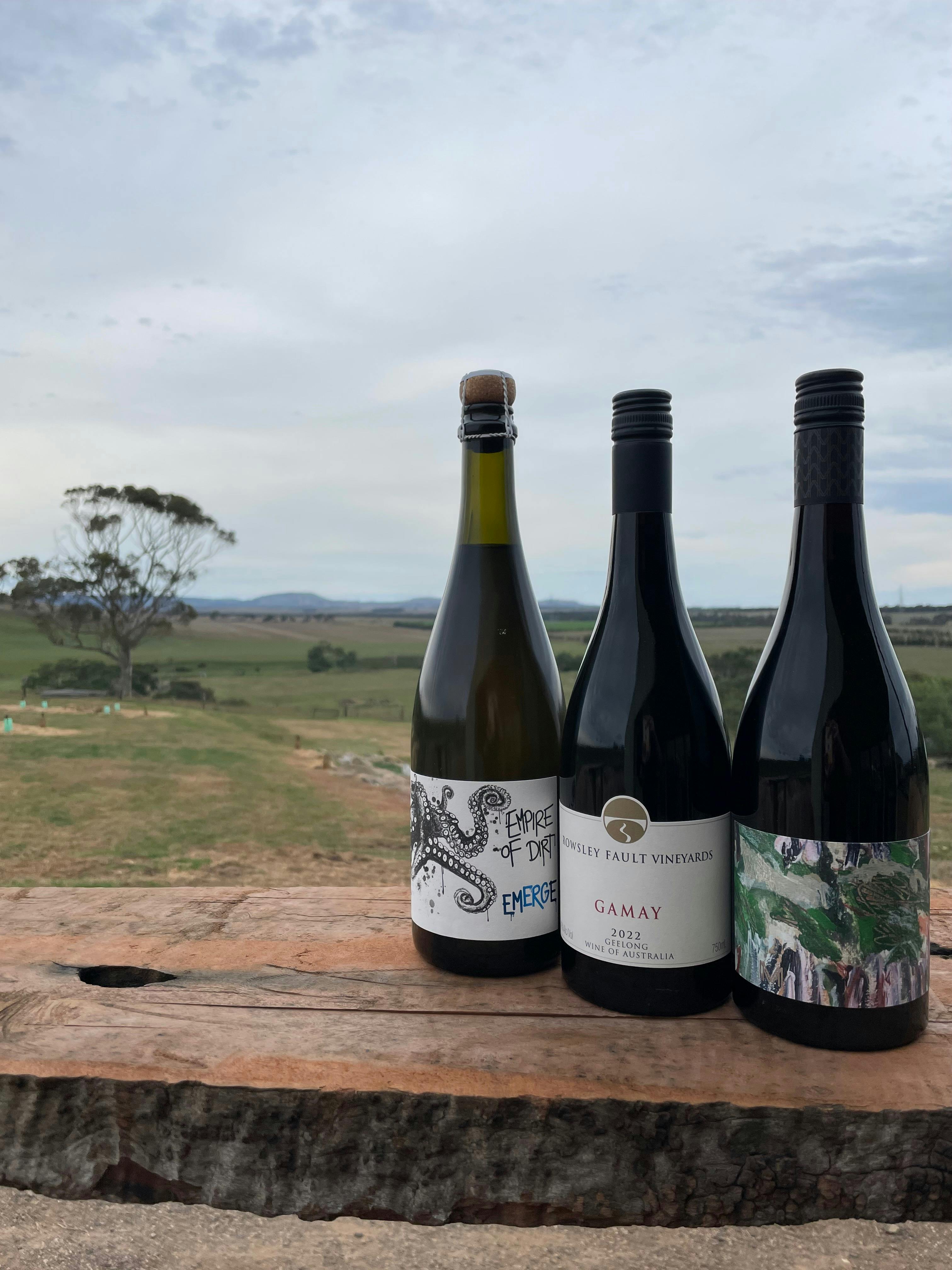 Cellar door overlooking the You yangs and Brisbane Ranges