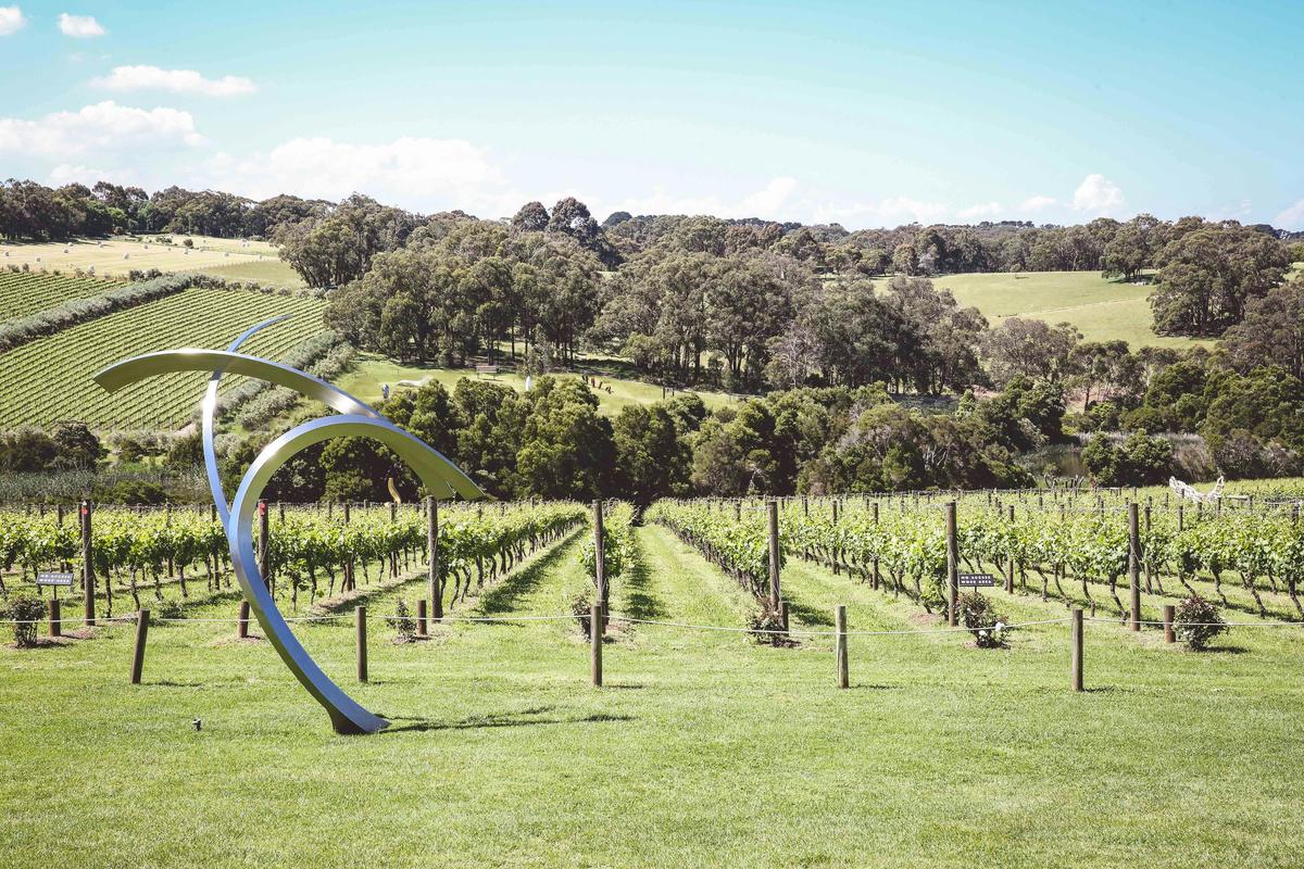 Montalto Scultpure Prize - 2016 winner - James Parrett