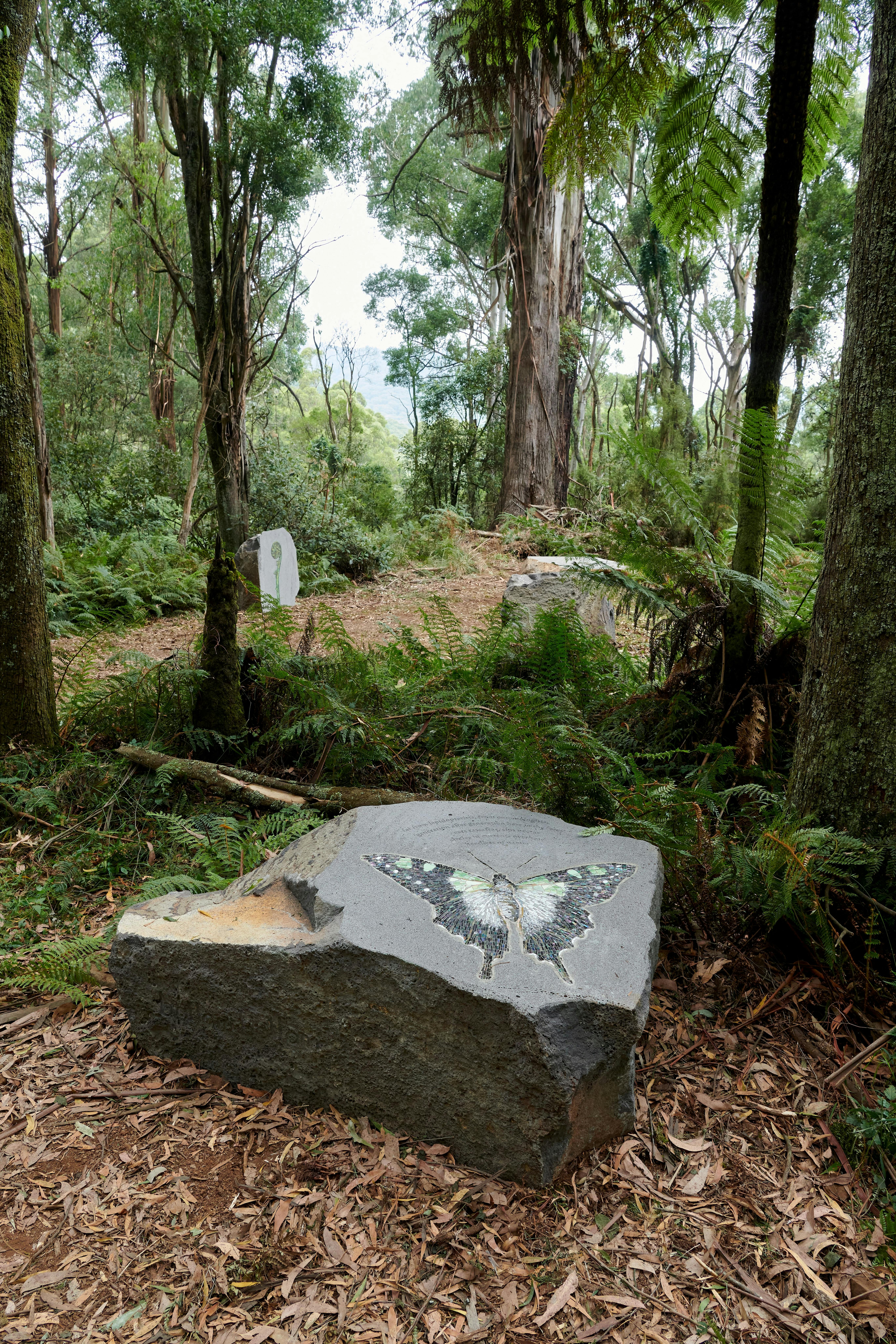 The Reveal, an Artwork along ngurrak barring