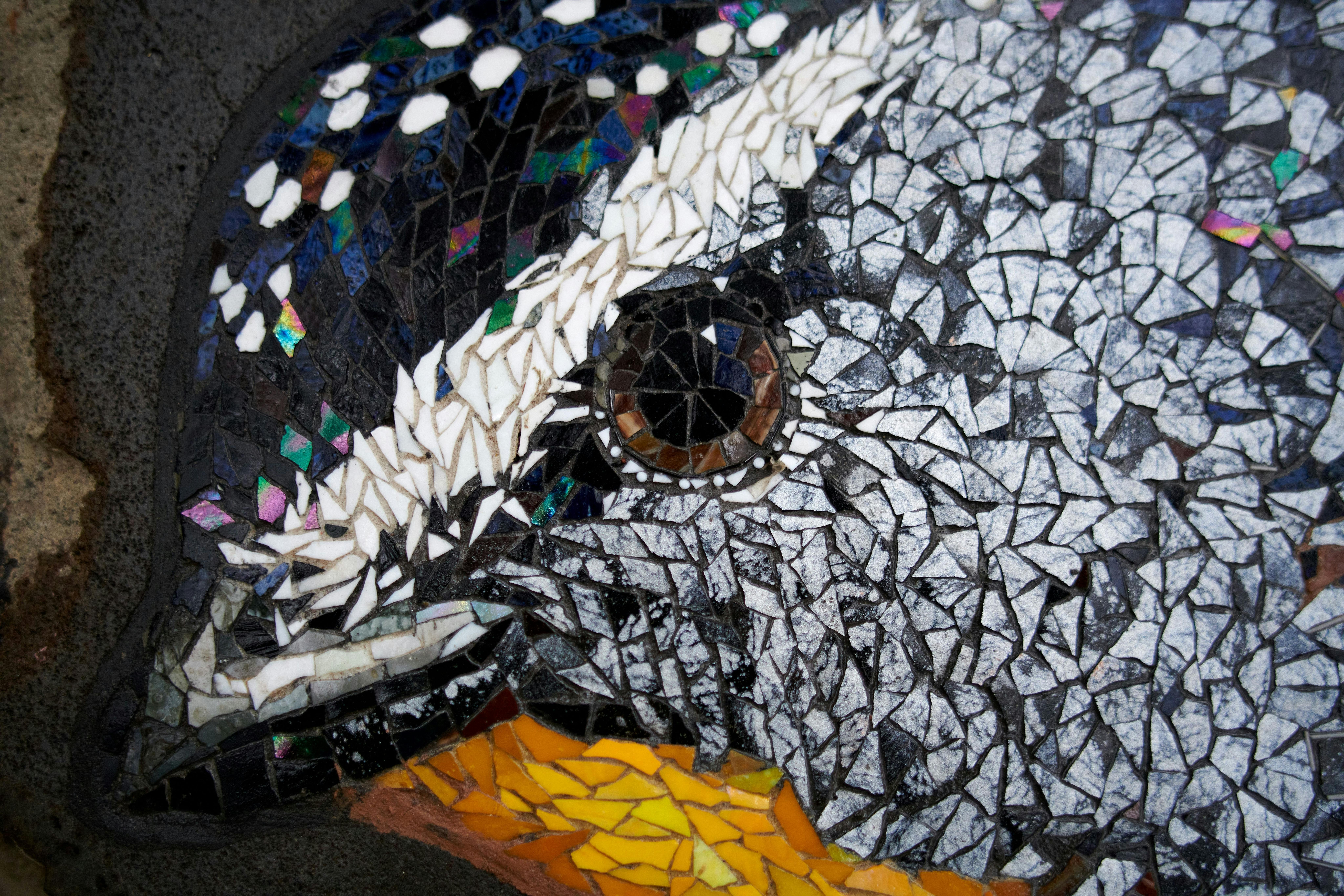 The Reveal, artwork along ngurrak barring