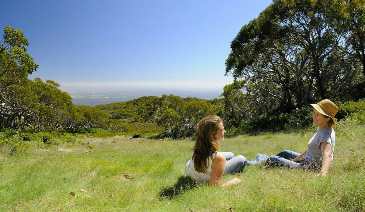 Mt Baw Baw summer