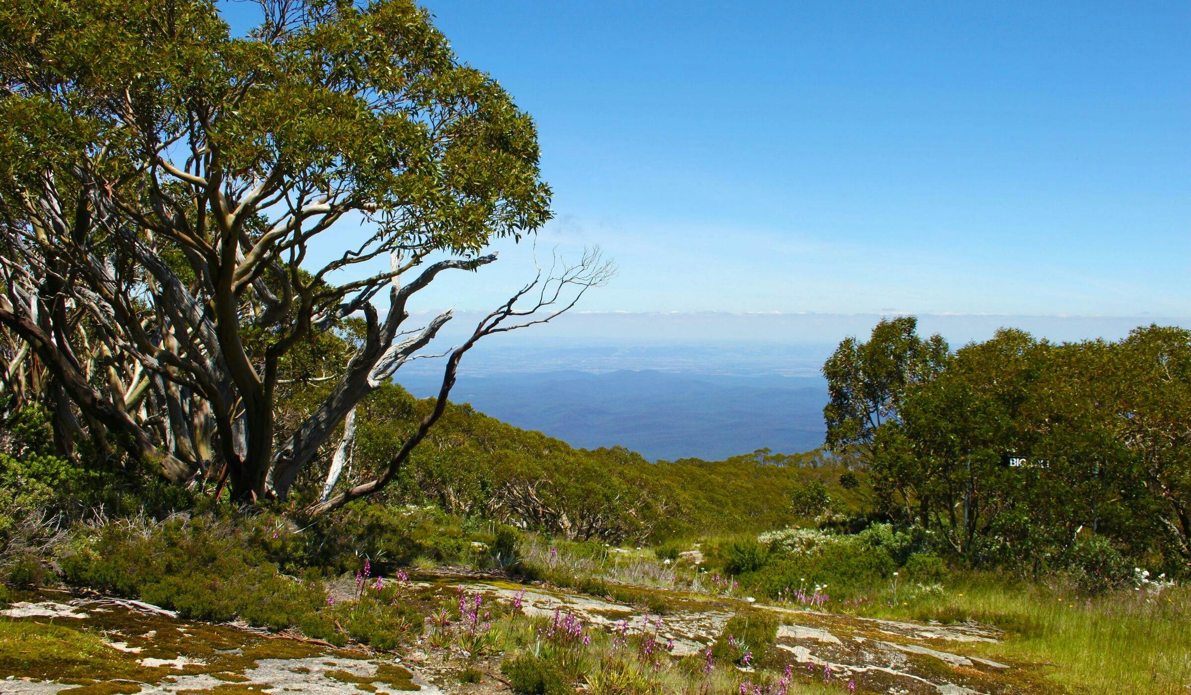 Mt Baw Baw summer view