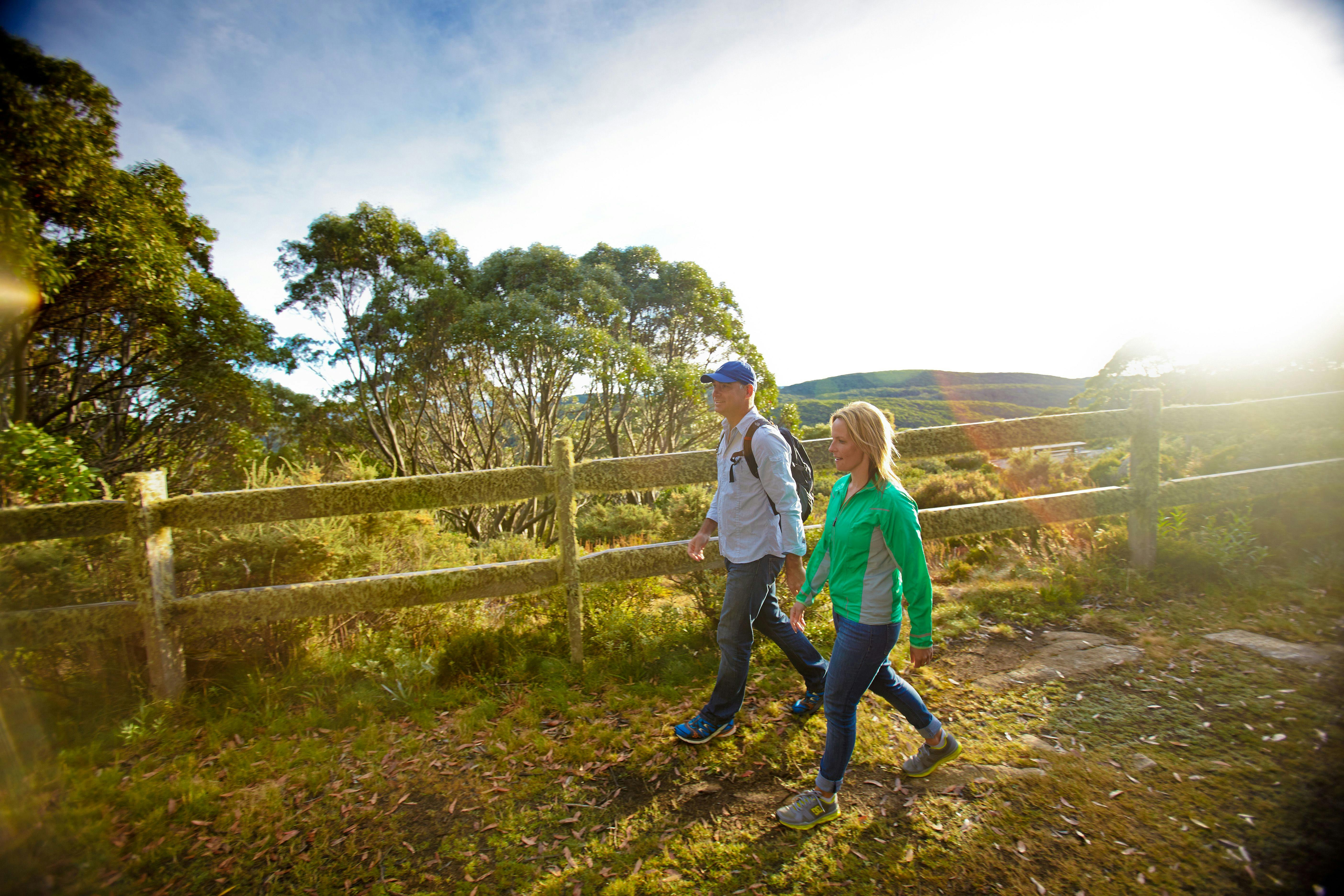 Walking to the Mt Baw Baw Summit in Baw Baw National Park, Gippsland, Victoria, Australia