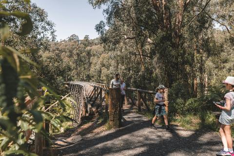 Noojee Trestle Bridge and Rail Trail