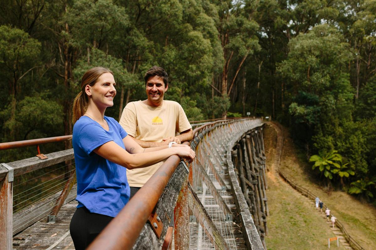 Enjoy a walk and picnic at Noojee Trestle Bridge