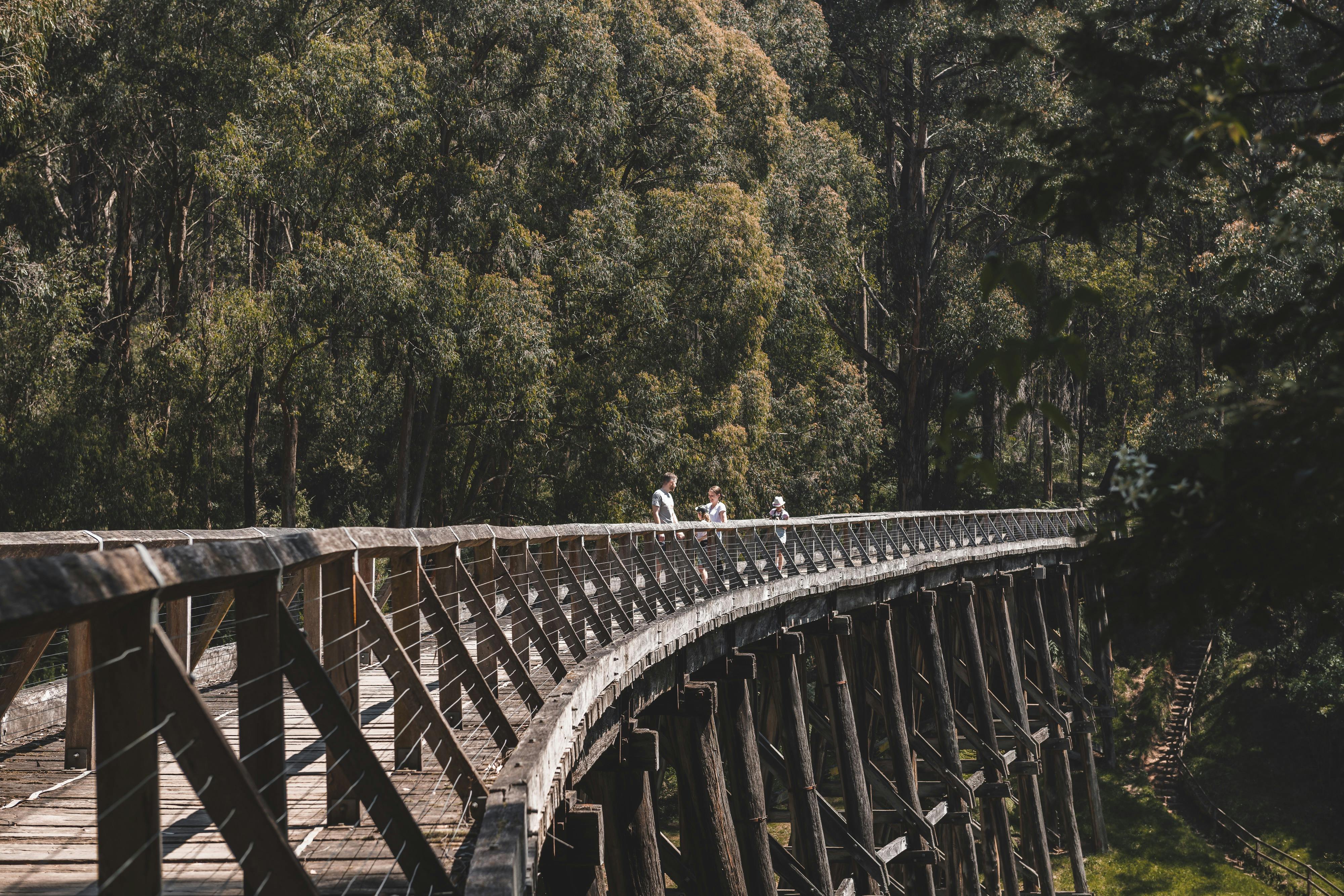 Noojee Trestle Bridge
