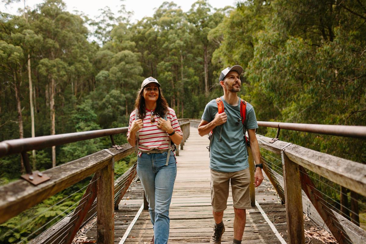 Enjoy a walk or picnic at Noojee Trestle Bridge