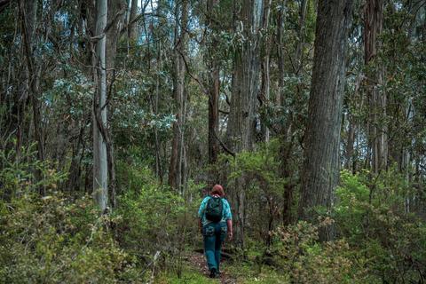 Mount Samaria  Walking Track