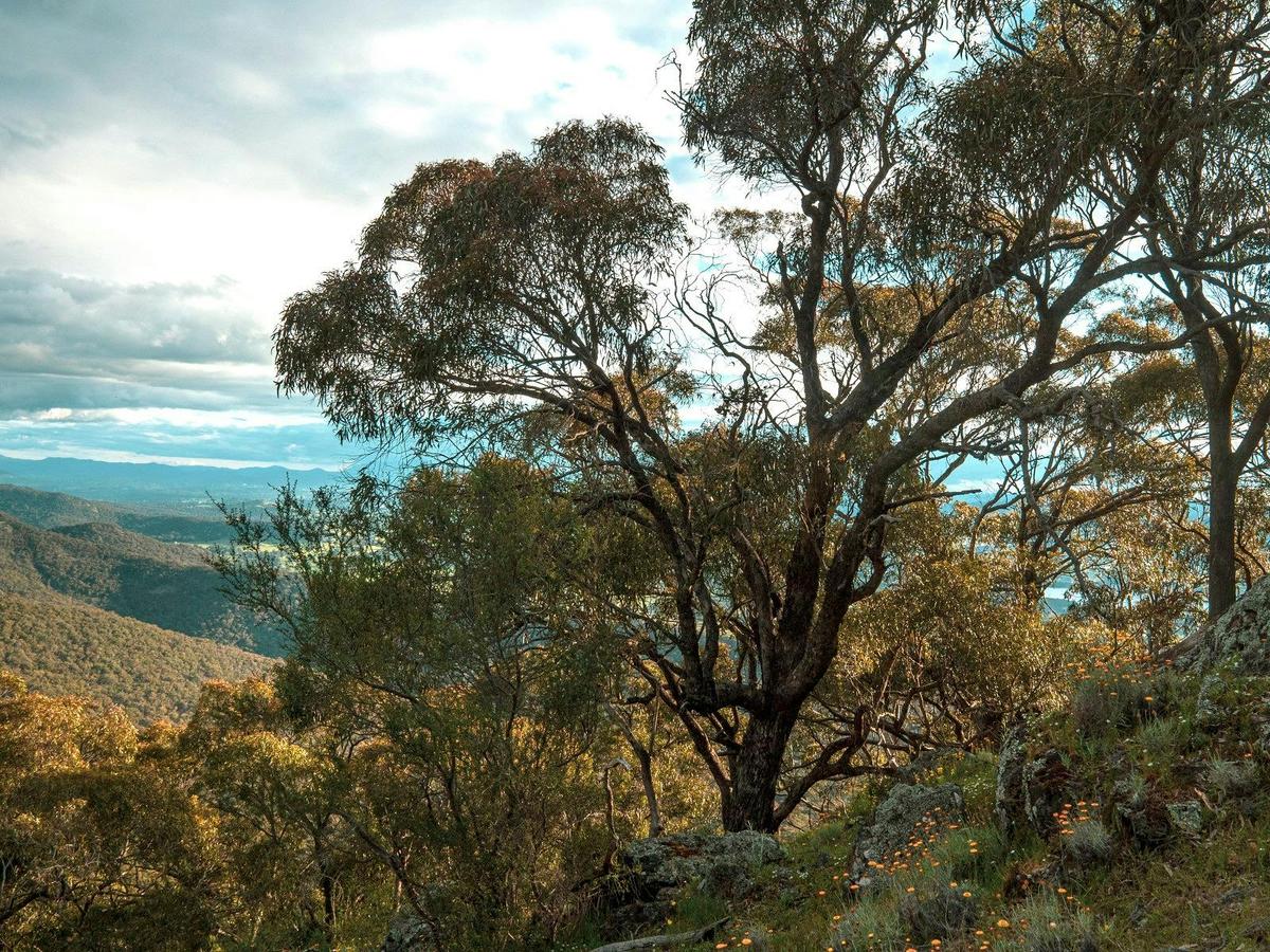 Mt Samaria National park