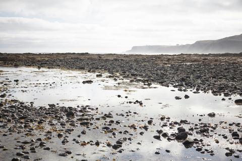 Mushroom Reef Beach