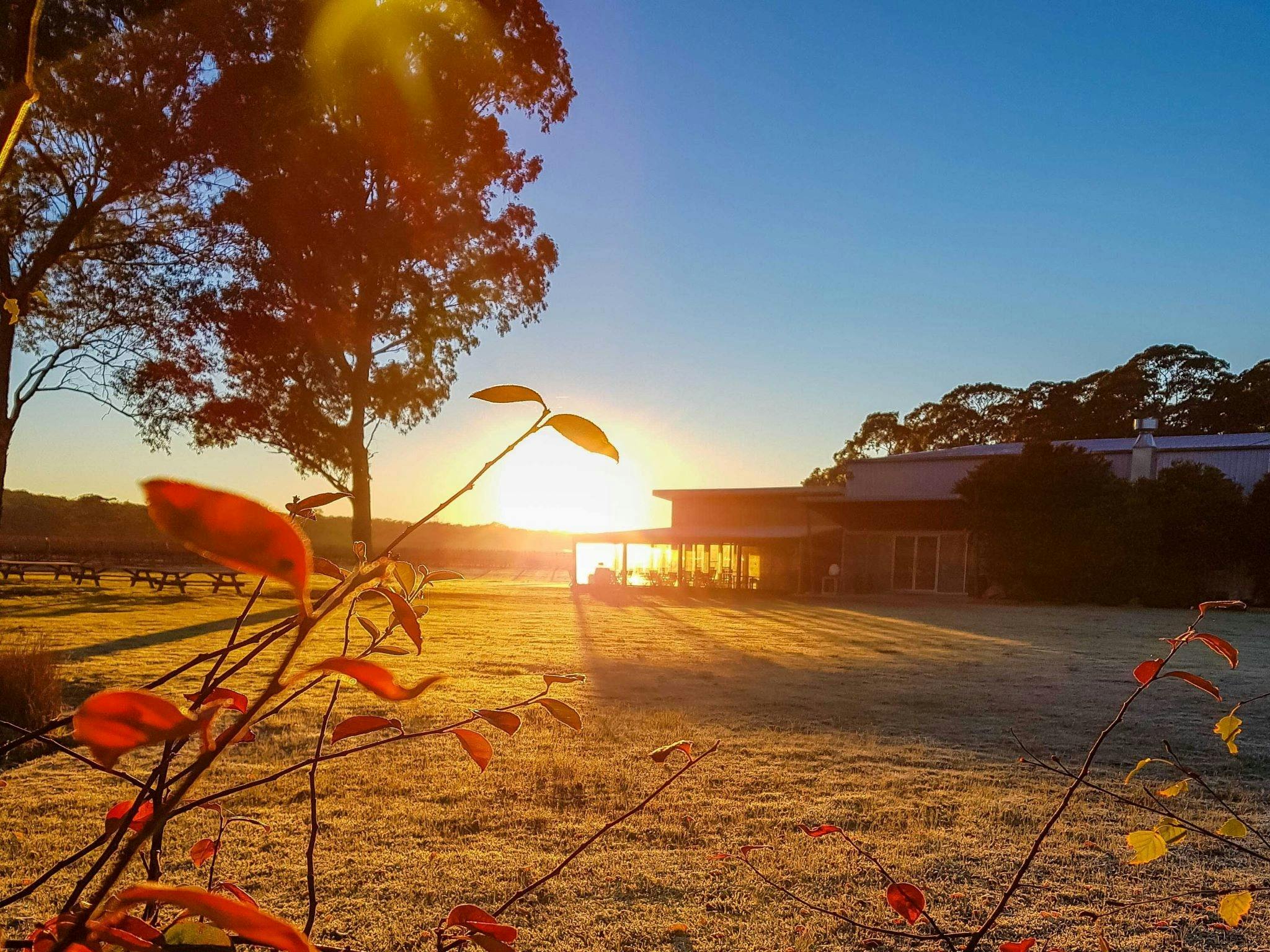 Sunrise at our winery