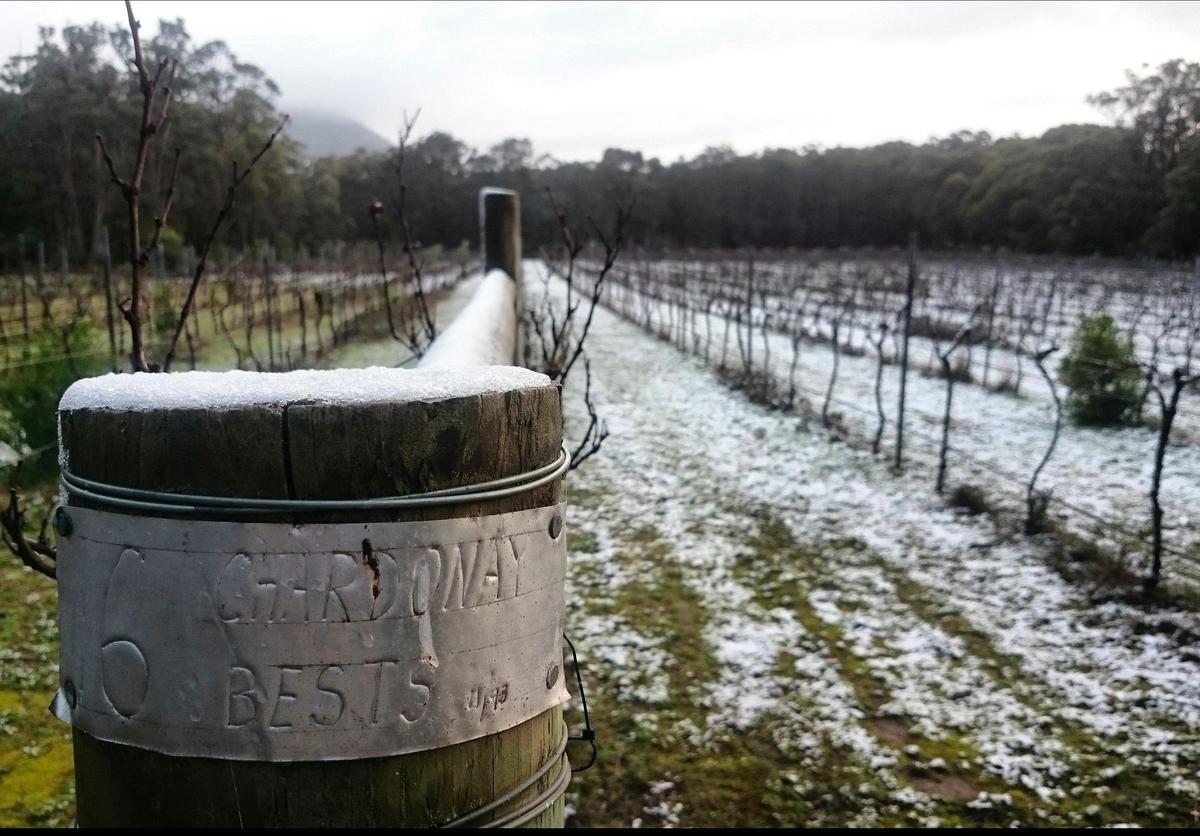 Mount Buninyong Winery