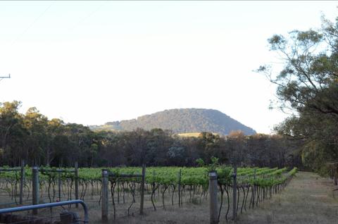 Mount Buninyong Winery
