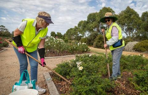Mornington Botanical Rose Gardens