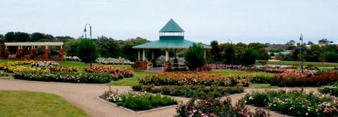 Mornington Botanical Rose Gardens