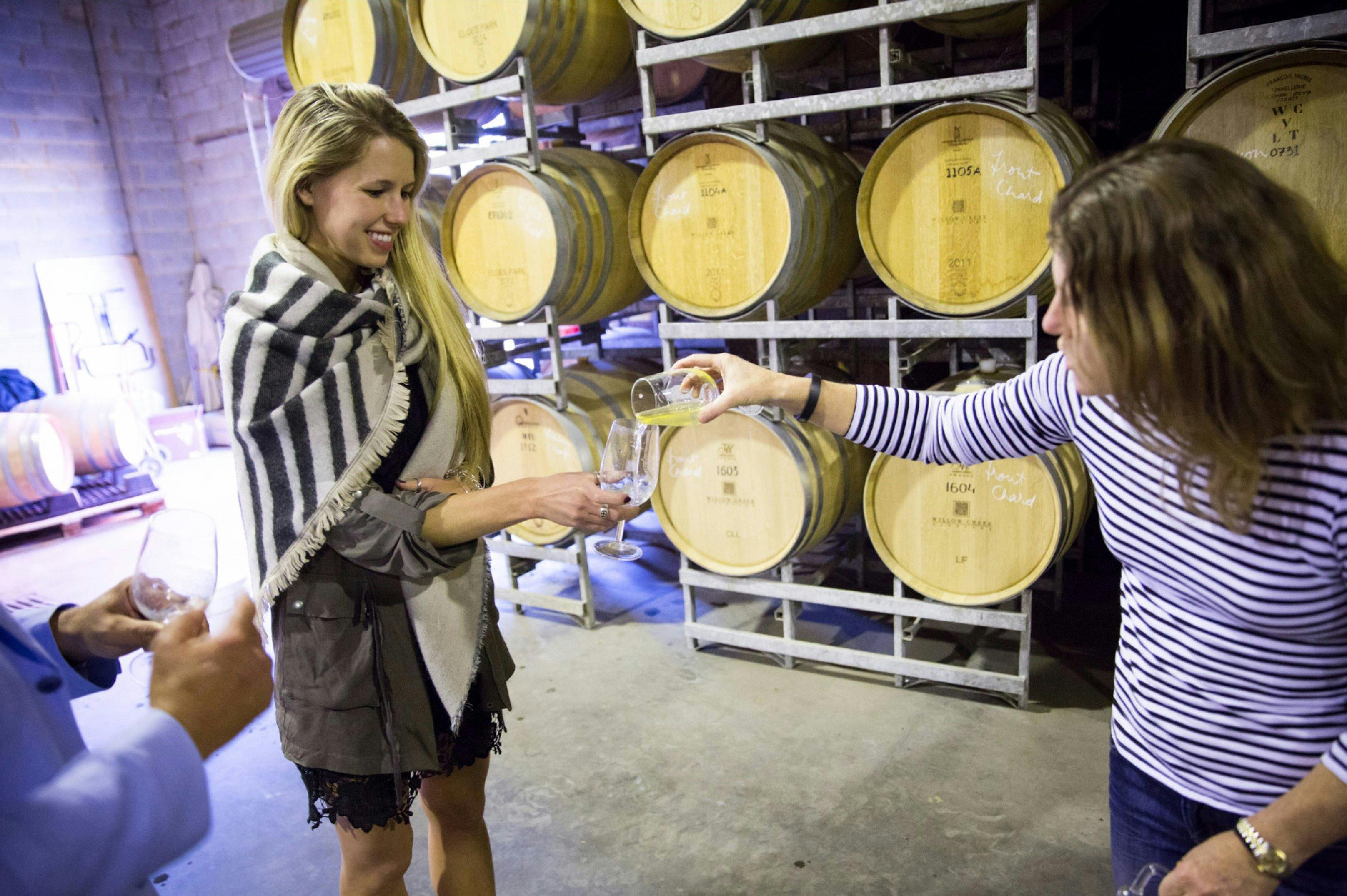 Guests taste wine with Geraldine McFaul in the Willow Creek barrel room