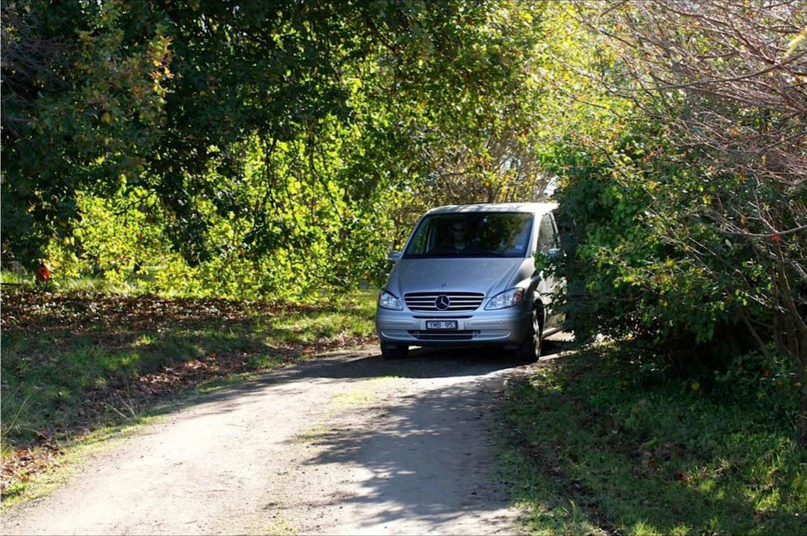 Plunge Tours are in a Mercedes Benz Viano