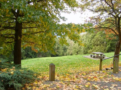 Mount Dandenong Arboretum