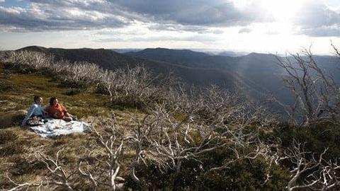 Mount Hotham