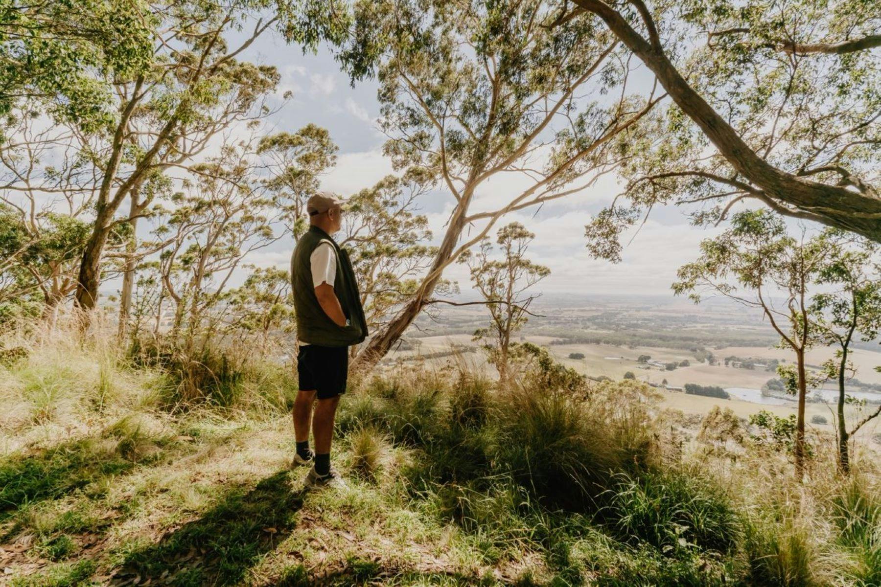 View from Mt Buninyong