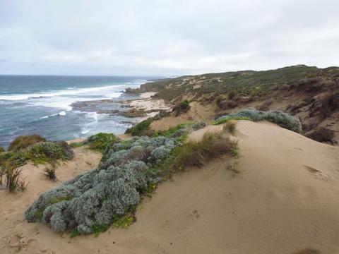 Number 16 Beach to Bridgewater Bay (part of The Coastal Walk)