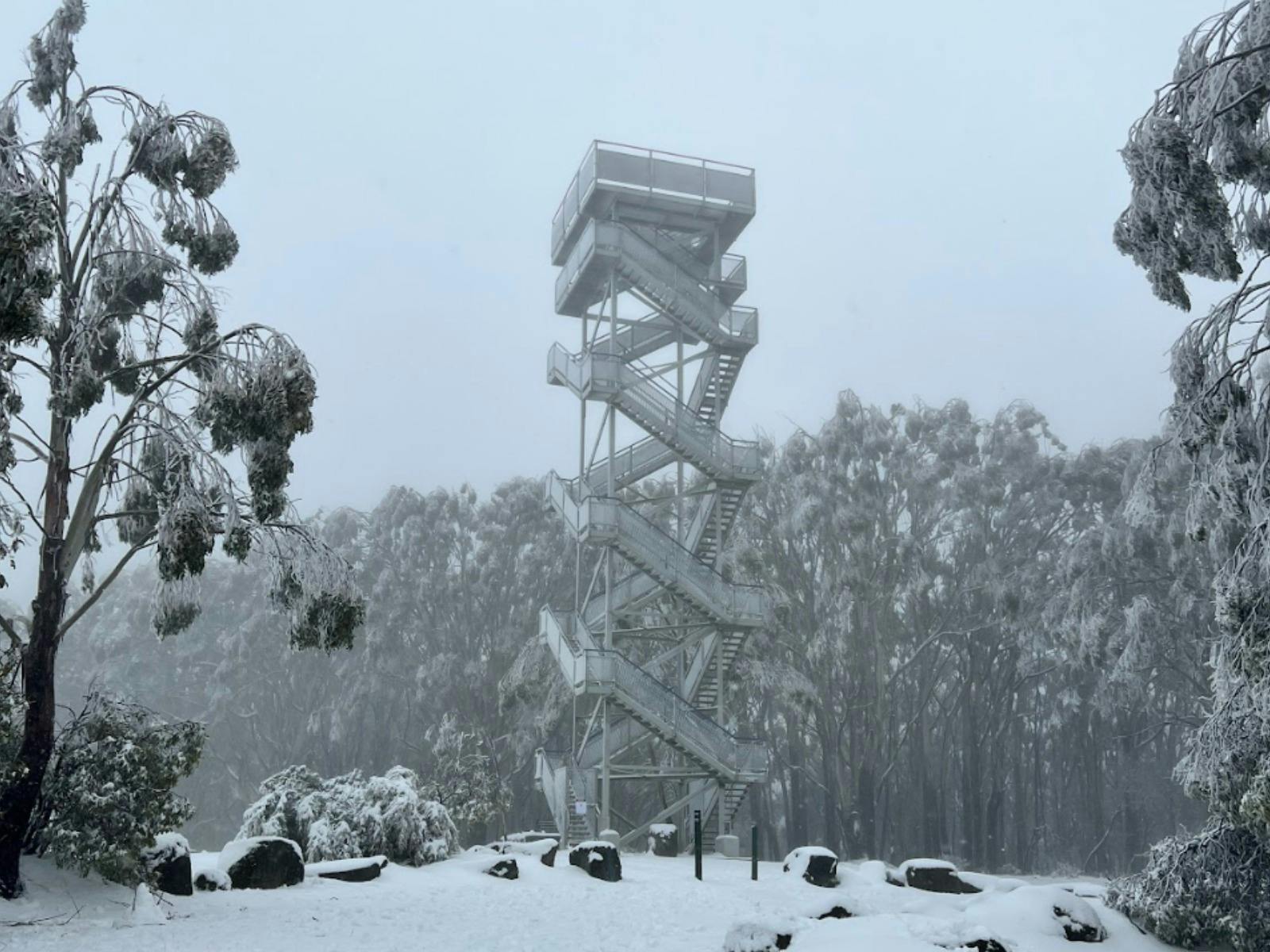Snow at Mt Donna Buang