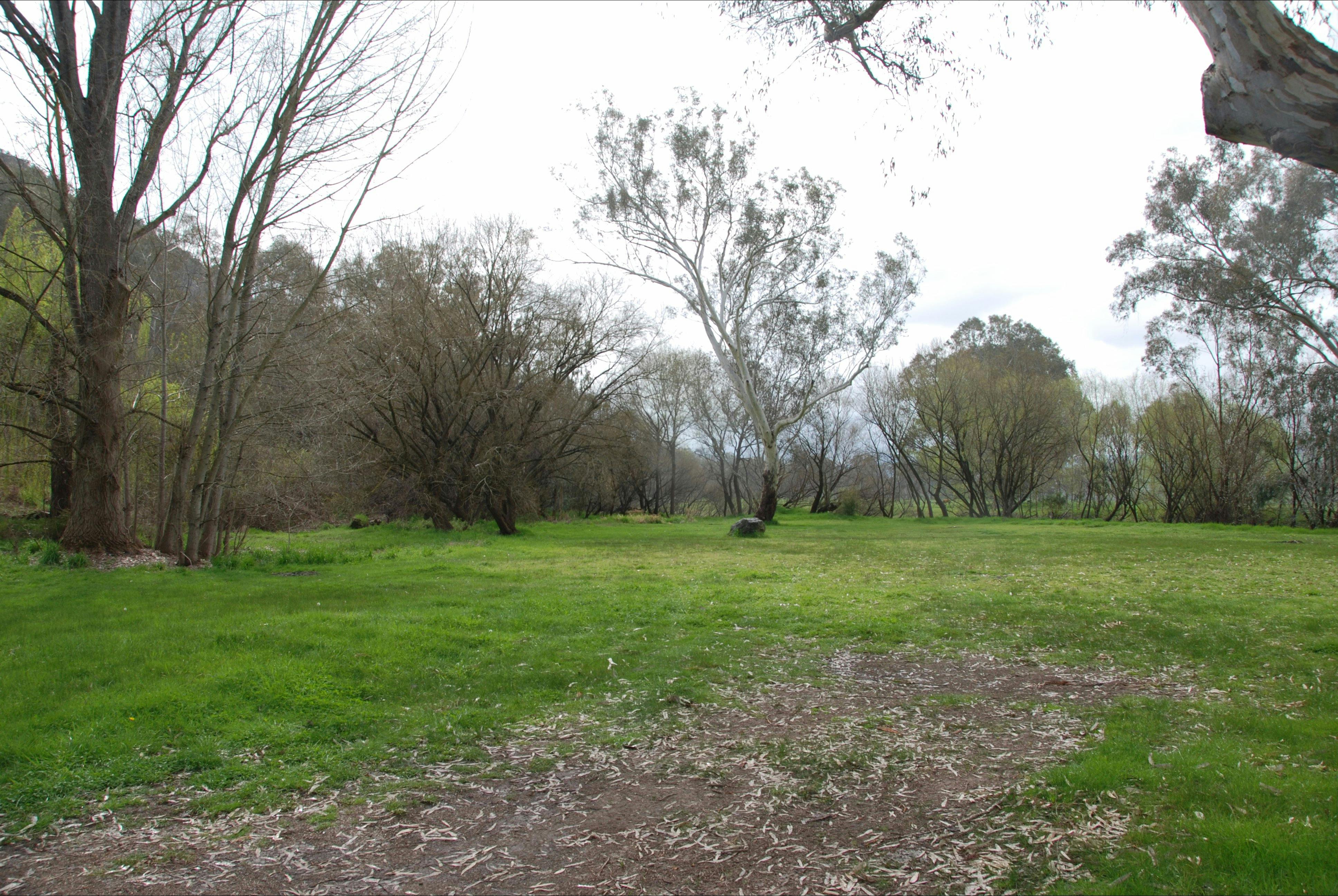 Pigs Point Streamside Reserve