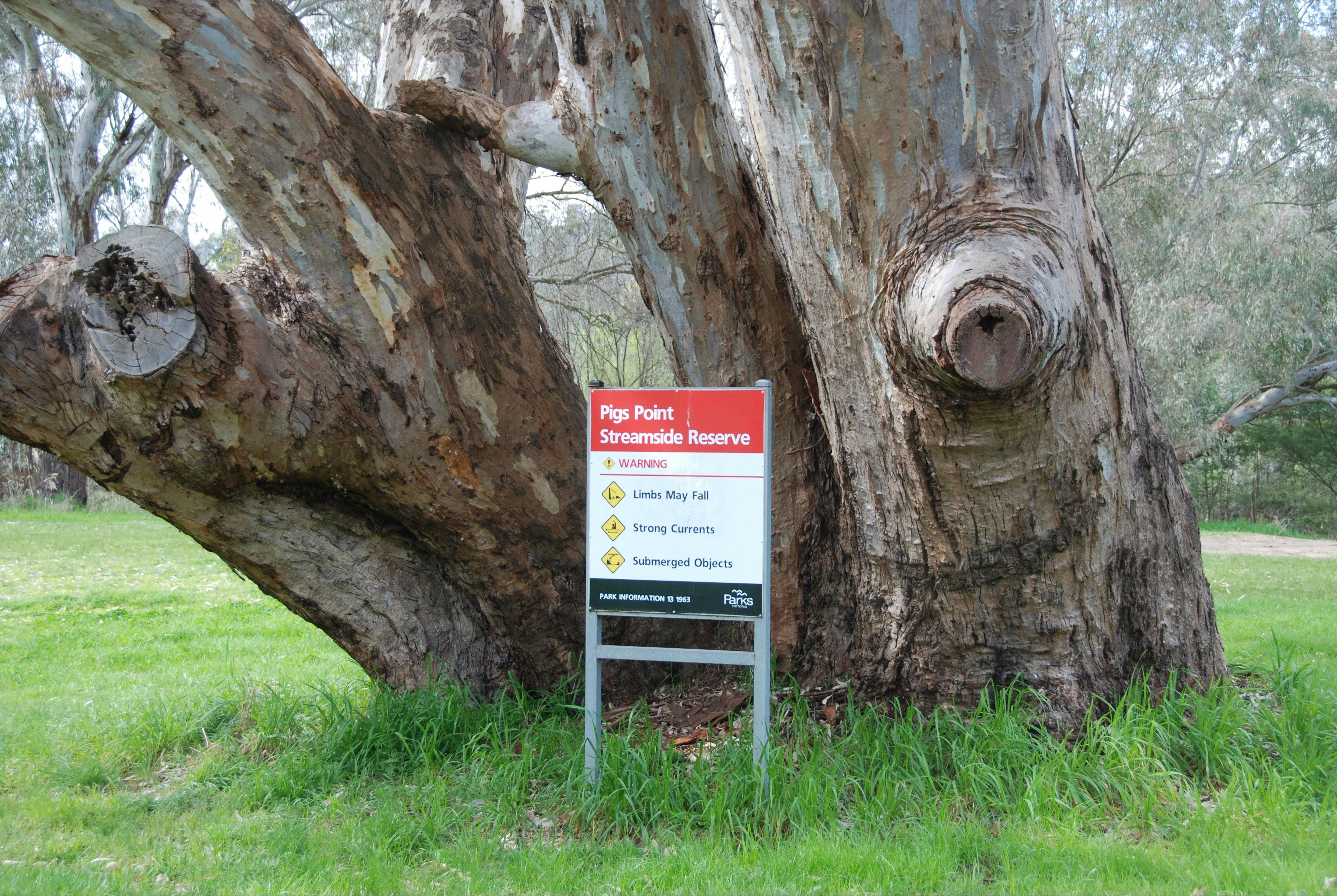 Pigs Point Streamside Reserve