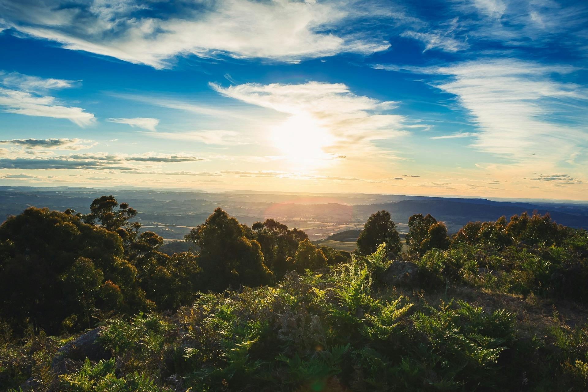 Mt Wombat Lookout - Landscape view