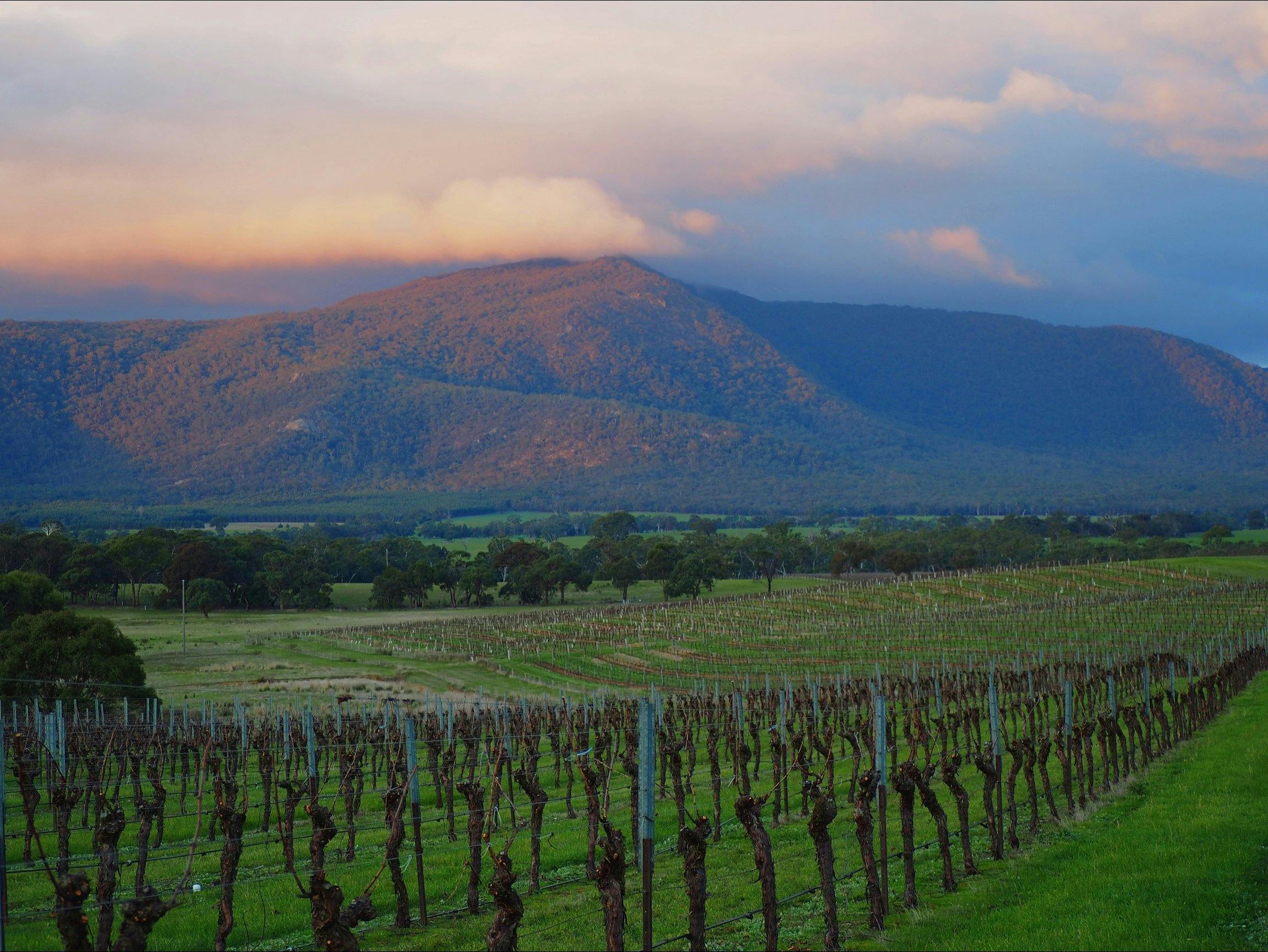 Mount Langi Ghiran Winter Sunset