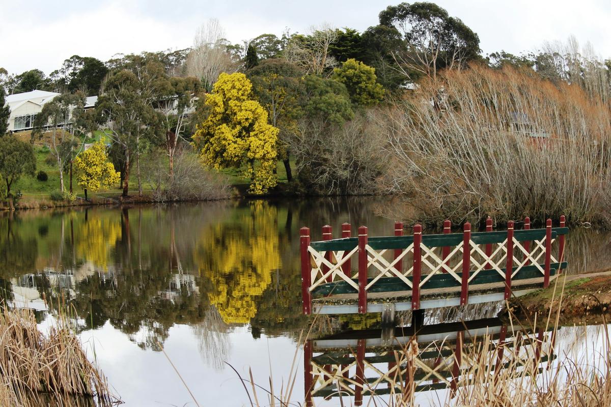 Lake Daylesford Jetty in winter