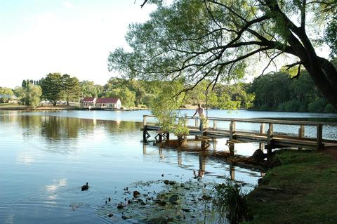 Peace Mile Loop Walk, Lake Daylesford