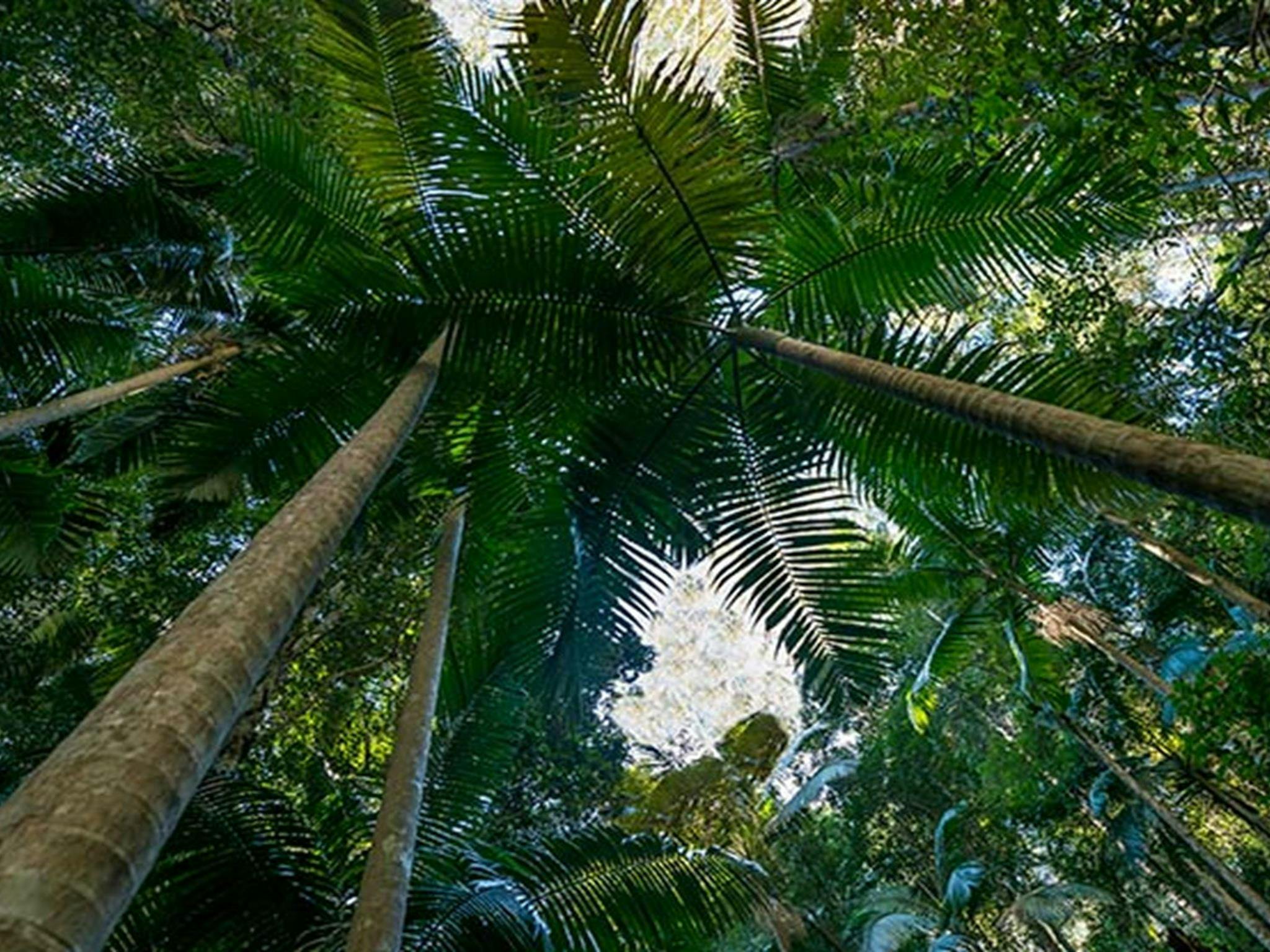 Jilliby State Conservation Area. Photo: John Spencer/OEH