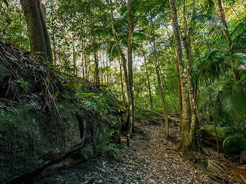 Jilliby State Conservation Area