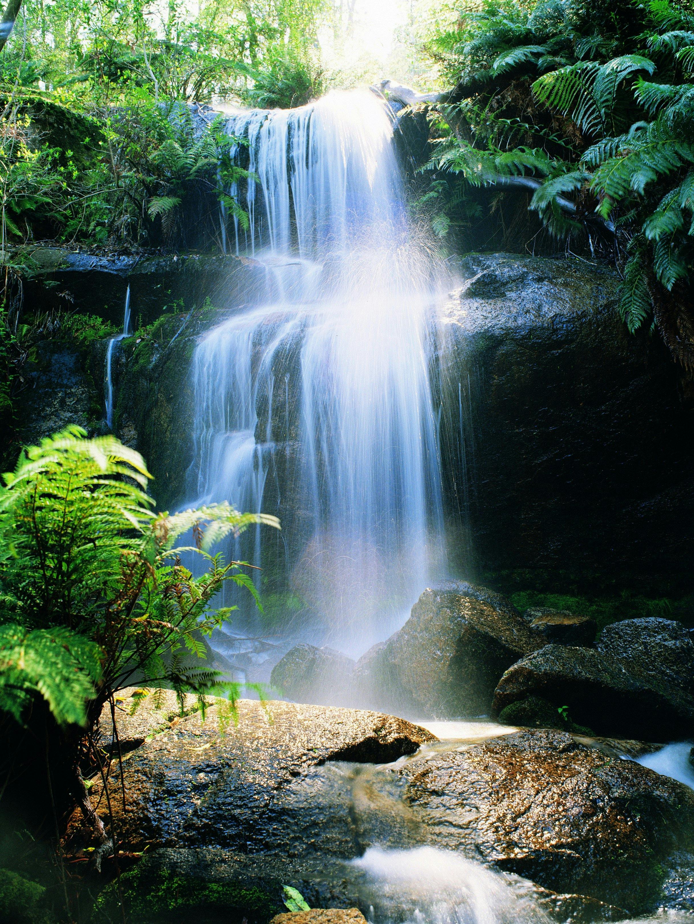 Mount Buangor State Park