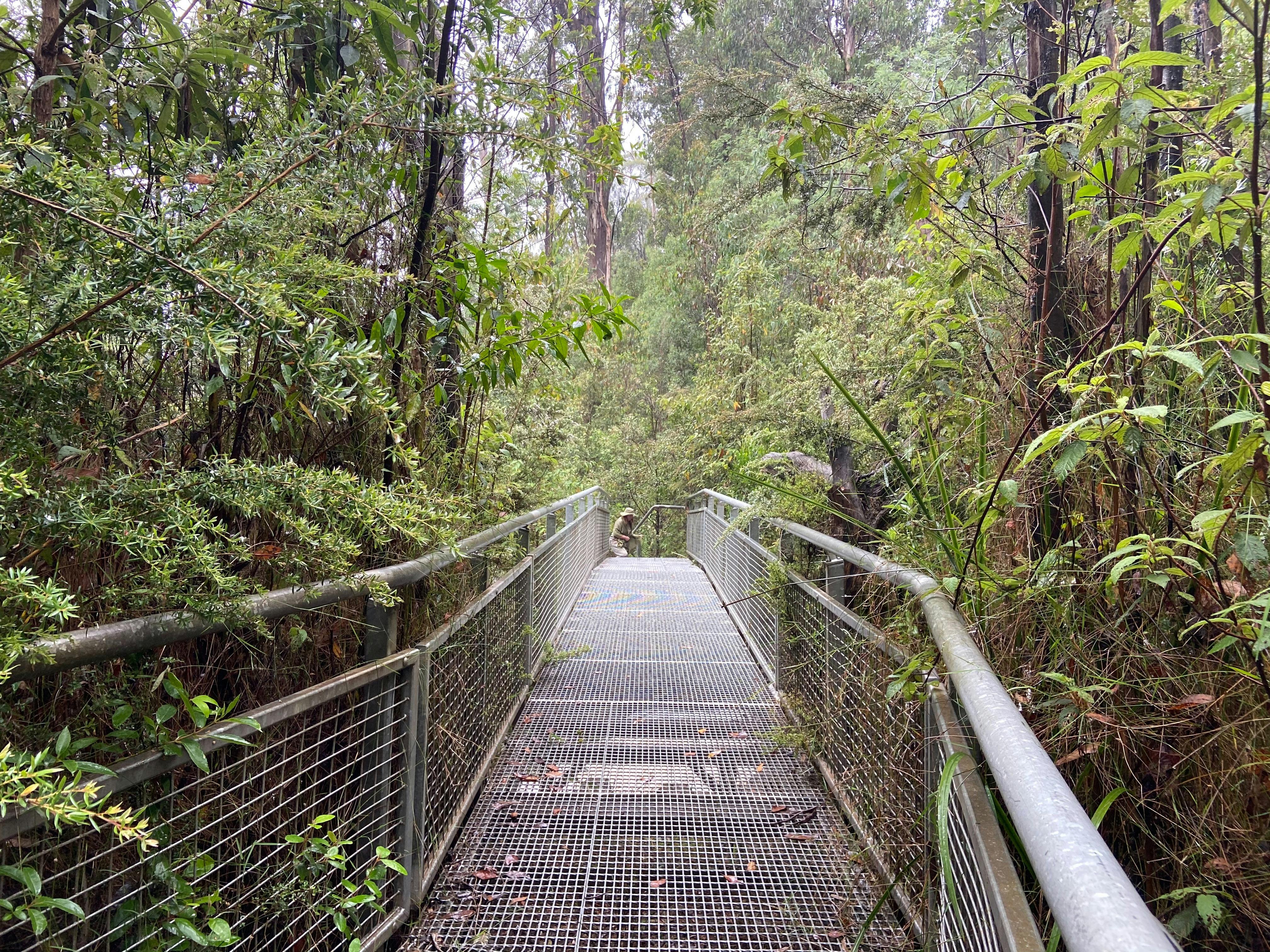 Murrindindi Cascades