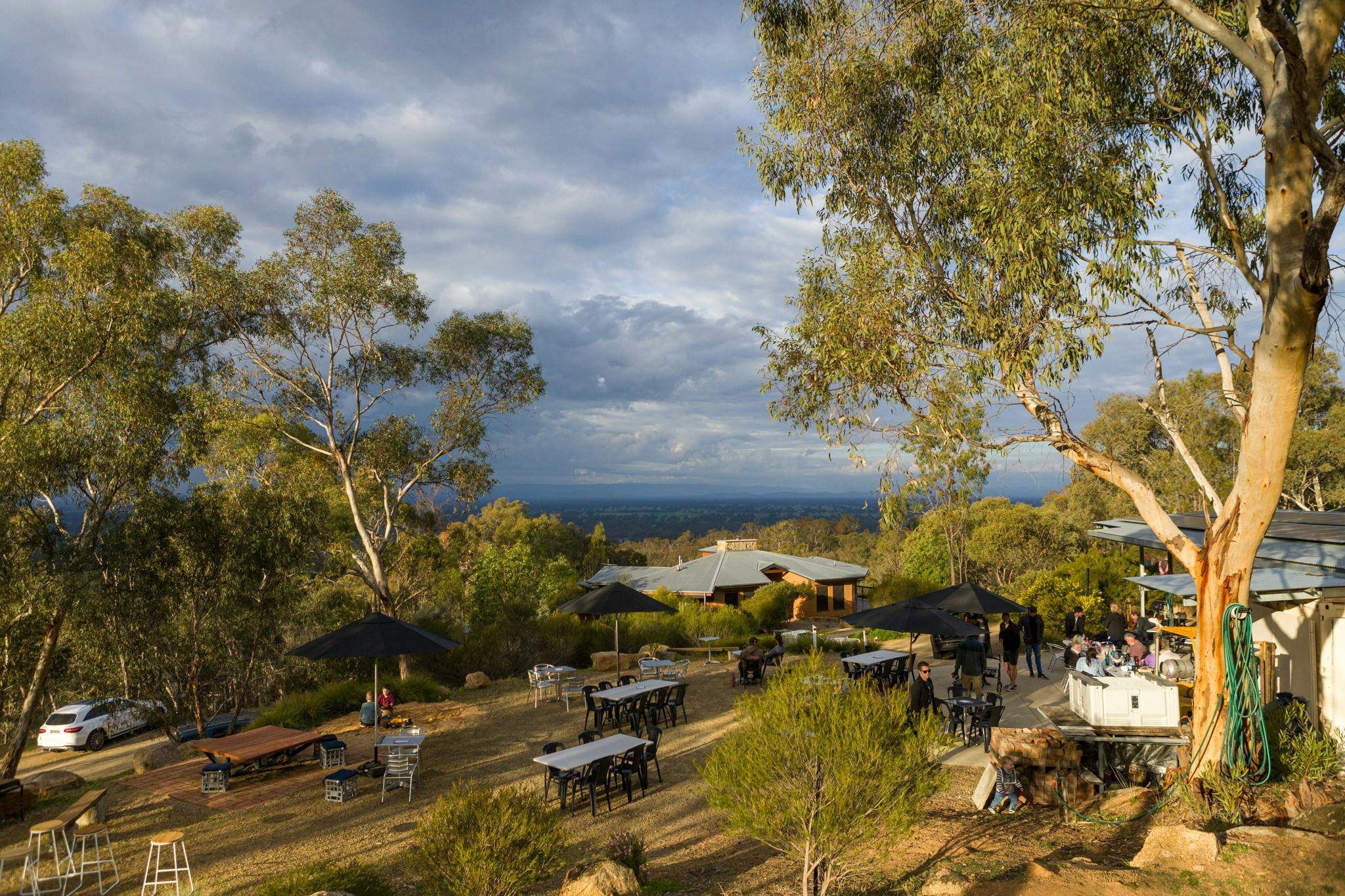 Incredible views to the Victorian Alps from Morrisons Winery