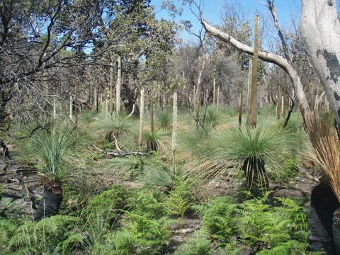 Nooramunga Marine & Coastal Parks