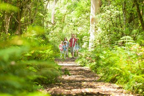 Olinda Creek Walking Track