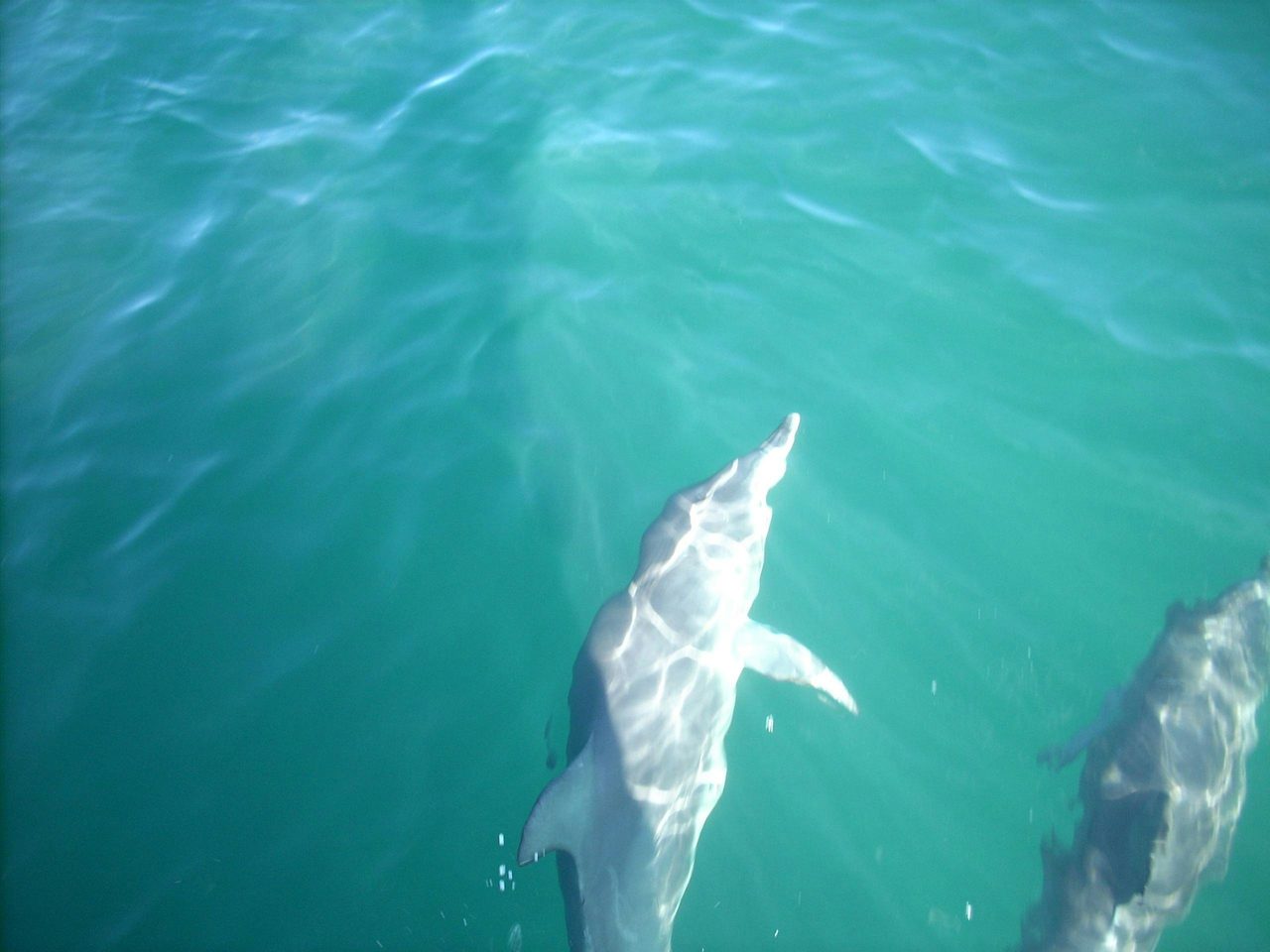 Jervis Bay Marine Park