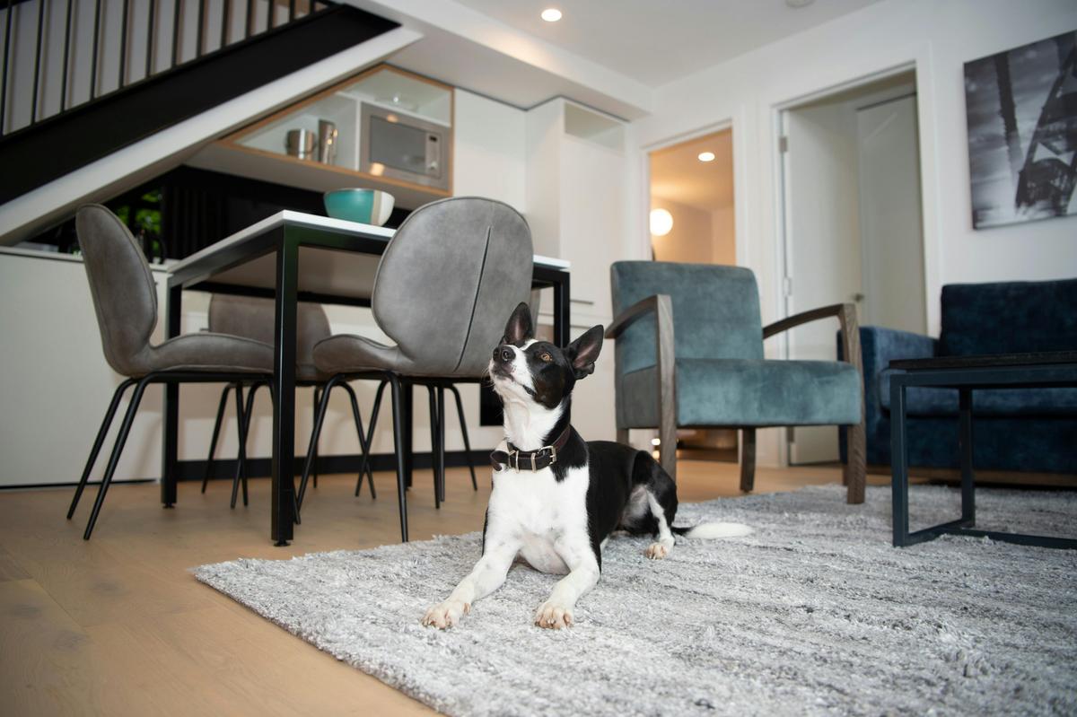 Two Bedroom Bellerine Street Loft Apartment Living Area and Loft