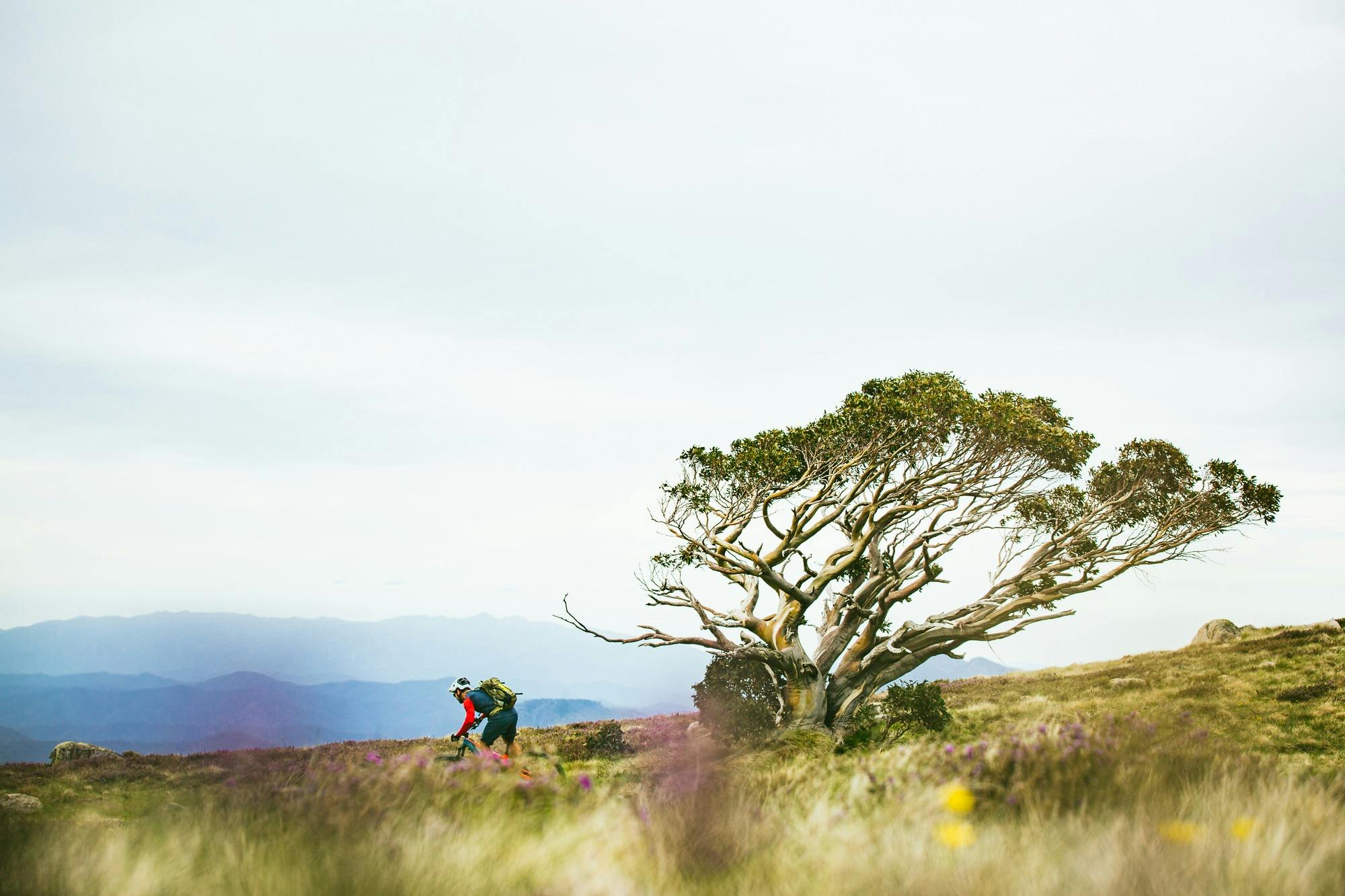 Cycling at Mt Buller