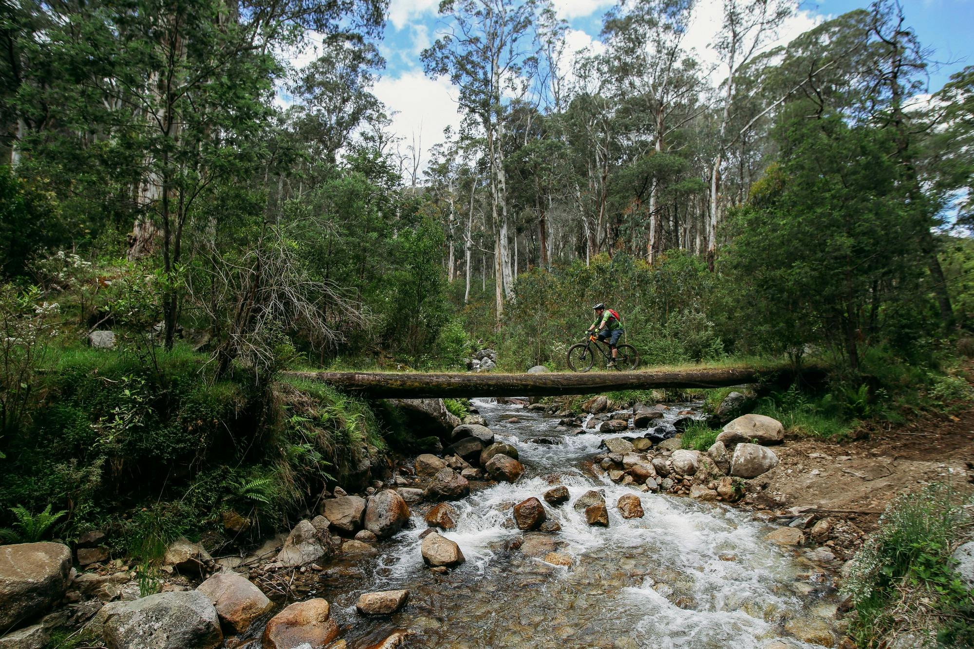 MTB at Mt Buller