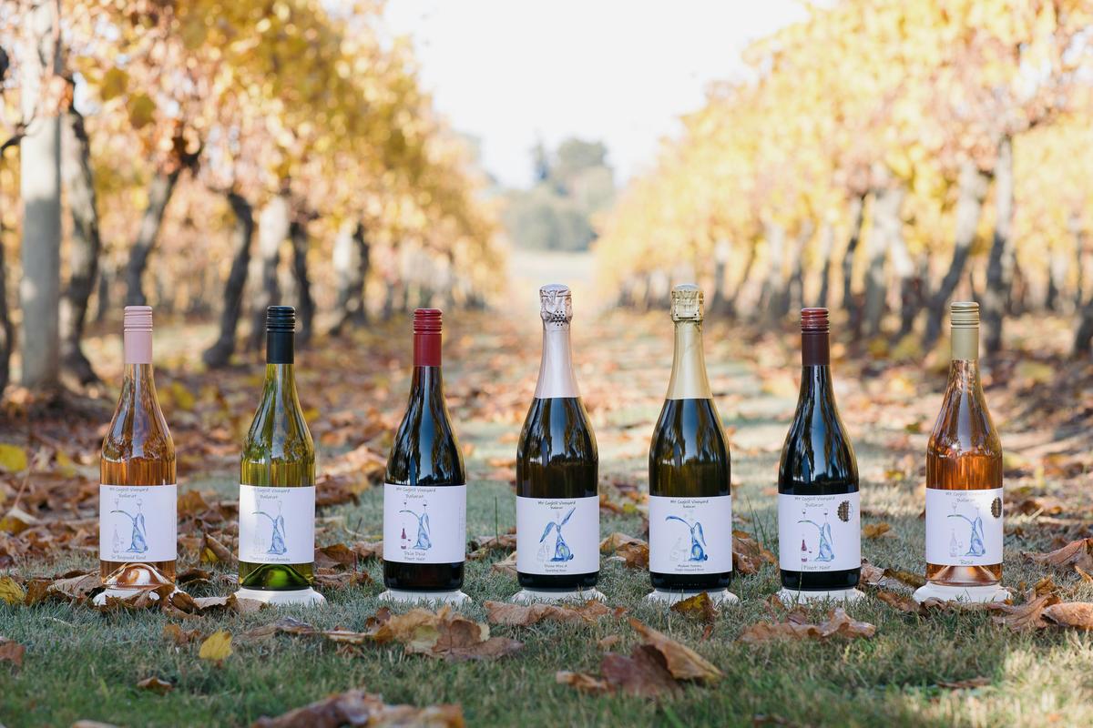 Mt Coghill Vineyard Wines in the vineyard