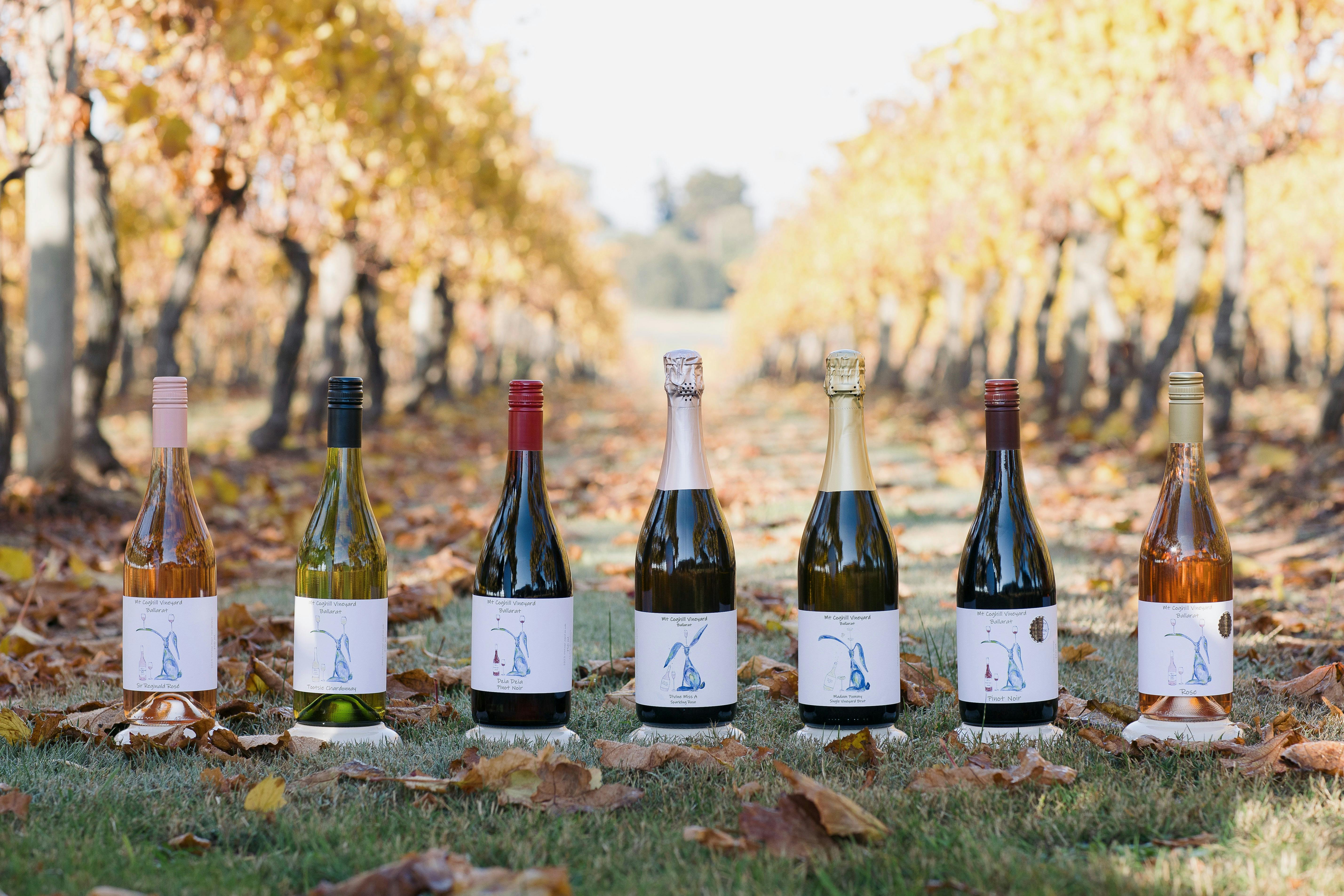 Mt Coghill Vineyard Wines in the vineyard