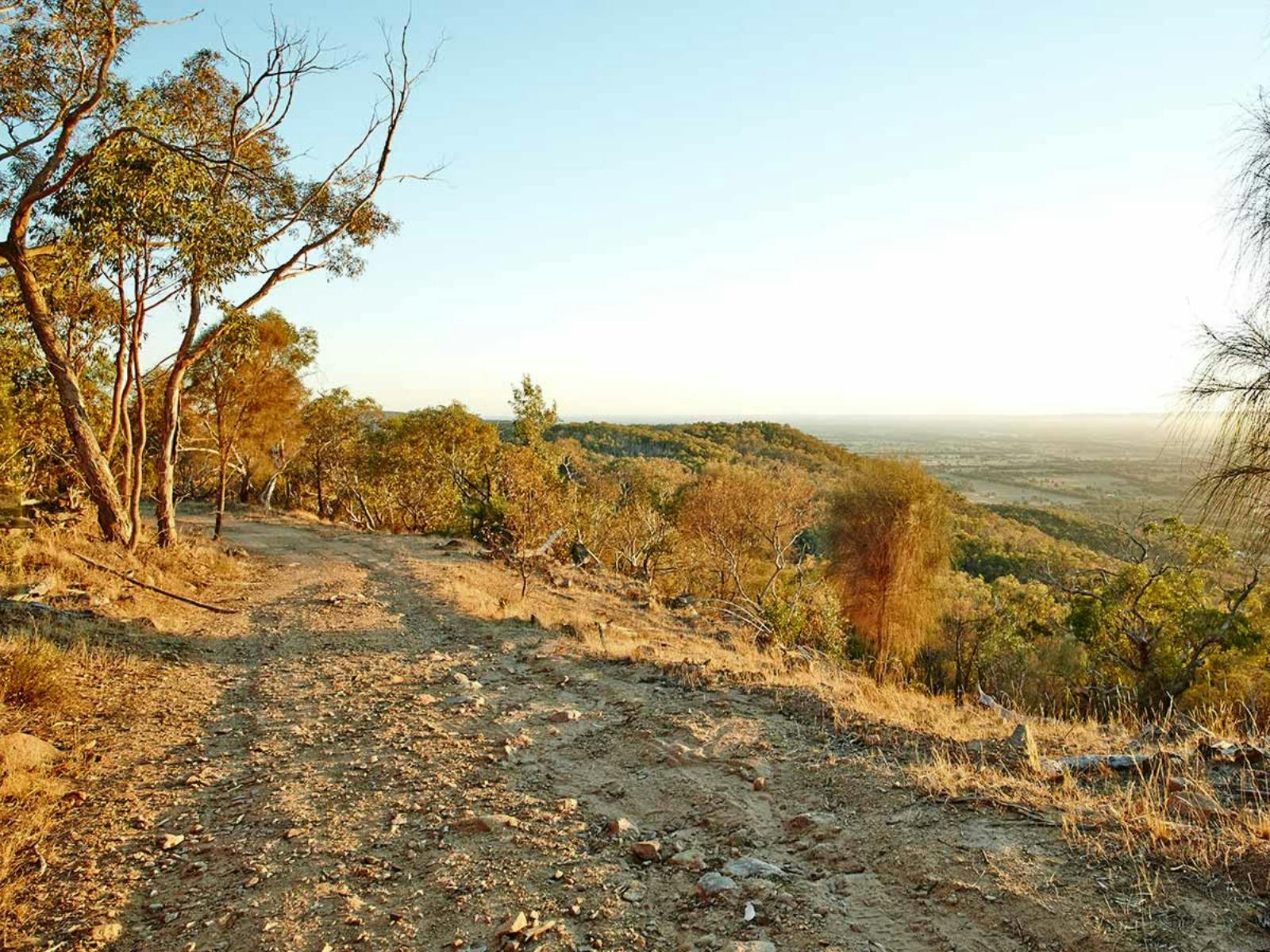 Along the way to the Mt Glenrowan Lookout