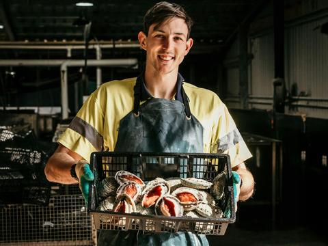 Abalone ready for shipping