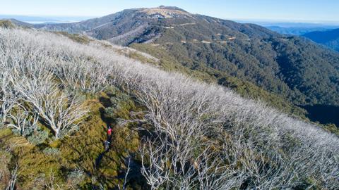 Mt Buller Bike Park